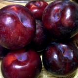 Prednosti i štete šljive za ljudsko zdravlje